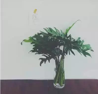 你的脾气好不好？
