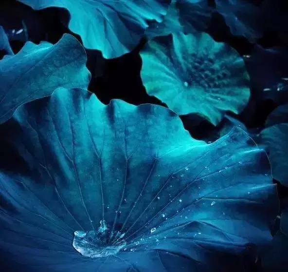 宋词里的人生真谛，抱一份深情，活一份通透