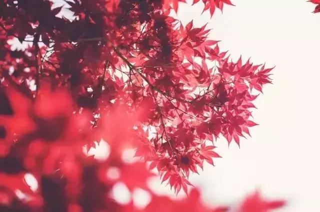 穷，不求人，富，不嫌人