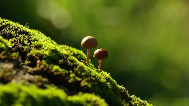 活着，没什么大不了