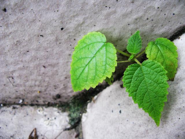 看懂这些话,唯一能够证明的,是你不同寻常的经历 看懂这些话,唯一能够证明的,是你不同寻常的经历