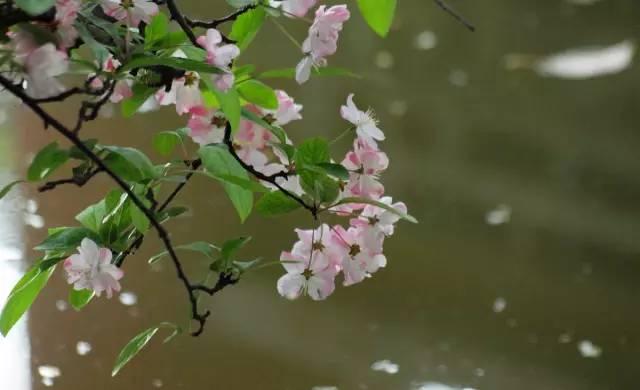 生命不是用来寻找答案的