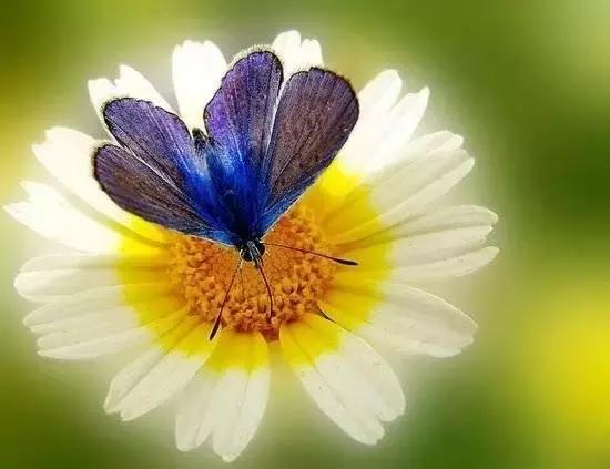 人生六不动 人生六不动