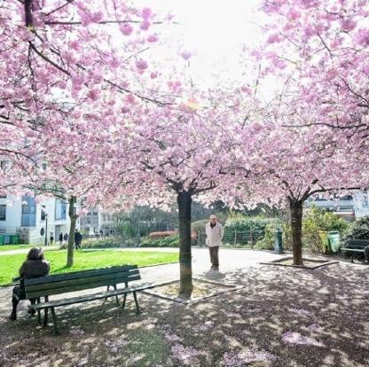 静心做事，常心为人