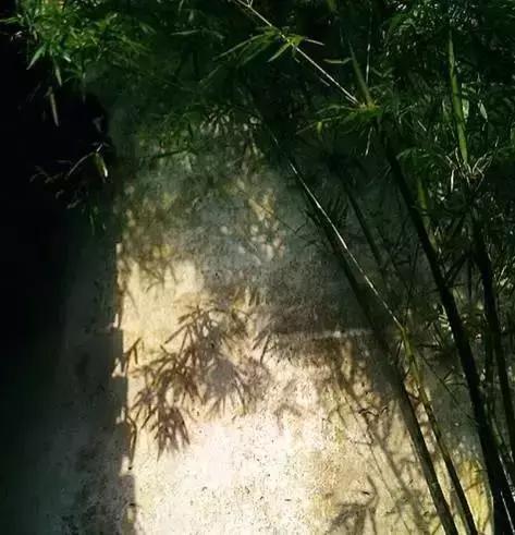 做人7+1，看懂就是福气
