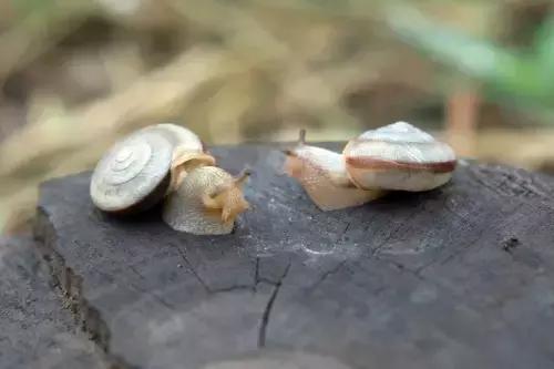 所有的偶然里，都有必然的因果