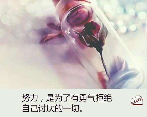 十二句励志能量句子