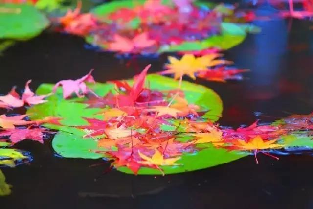 心态好，一切都好，这就是人生