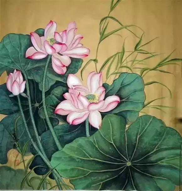 生命之冬里，温暖无处不在