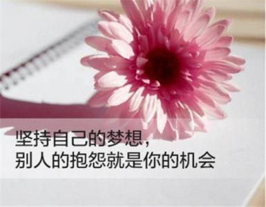 错过遗憾过，才更懂得去珍惜