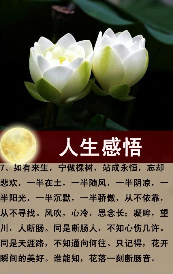 每天一点正能量，感悟生命，感谢生活