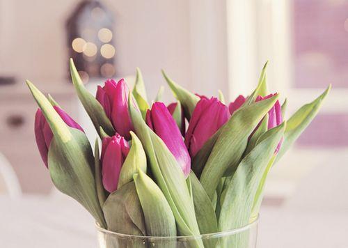 世界如沙，心若不动，风又奈何；情若不伤，岁月无恙