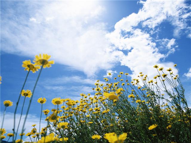 没钱看人心,有钱看人性 没钱看人心,有钱看人性