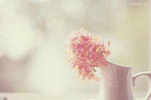 朋友圈里最火的人生感悟语录