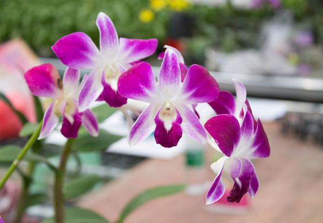 平凡的日子，也有别样的精彩