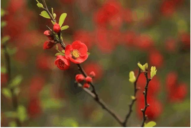 14句话，很深刻，句句是人生