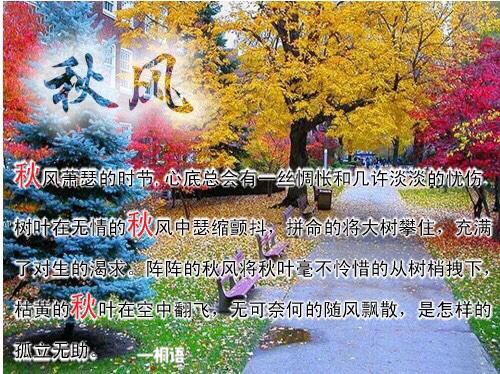 读懂了秋就读懂了人生