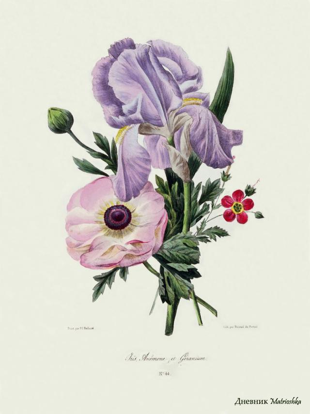 精辟到噎死人的经典语录,透彻至极 精辟到噎死人的经典语录,透彻至极