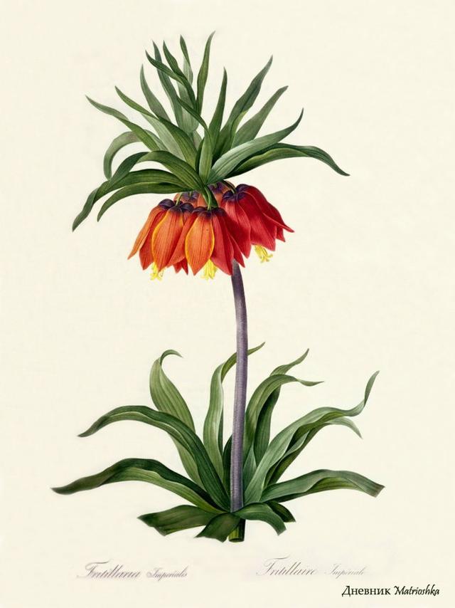 精辟到噎死人的经典语录,透彻至极 精辟到噎死人的经典语录,透彻至极