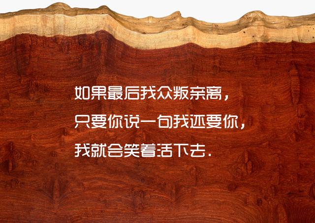 喜欢一个人是藏不住的