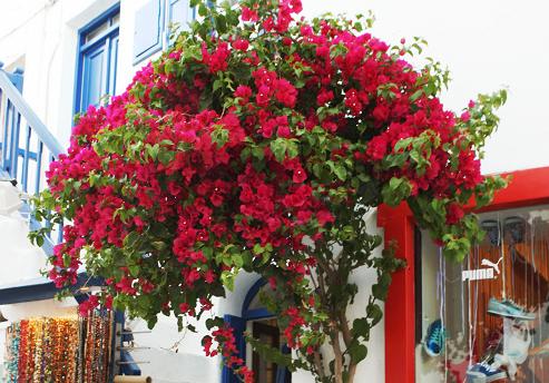 触动心灵的经典台词语录