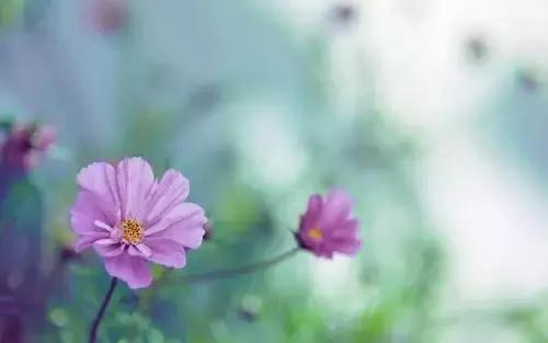 走太急，痛的是脚，想太多，累的是心