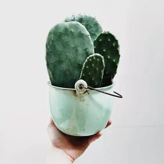 那个少年，这些经典语录都是我对你的告白