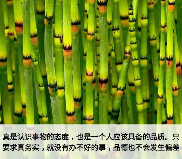 做人，先学会写这七个字
