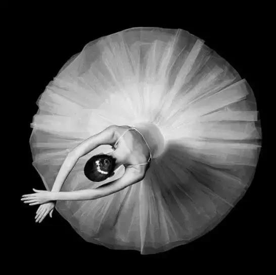 就算无人欣赏,也要活得漂亮 就算无人欣赏,也要活得漂亮