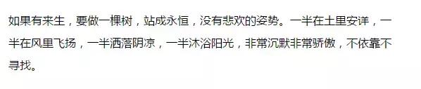 世界上最美丽的九封信