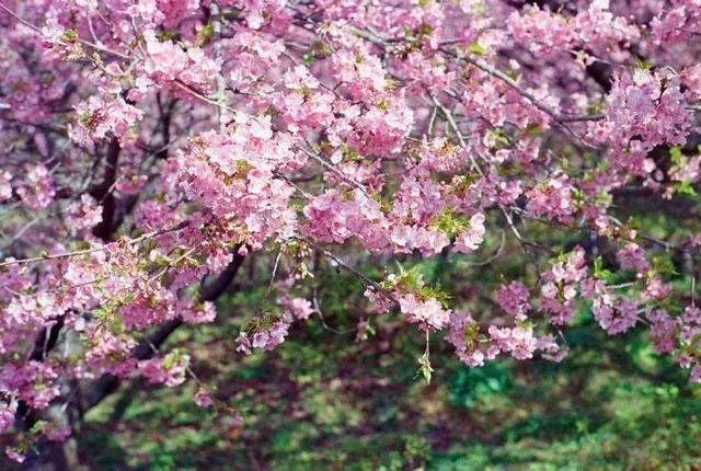 想要别人爱你的话，就要去爱别人，做一个可爱的人