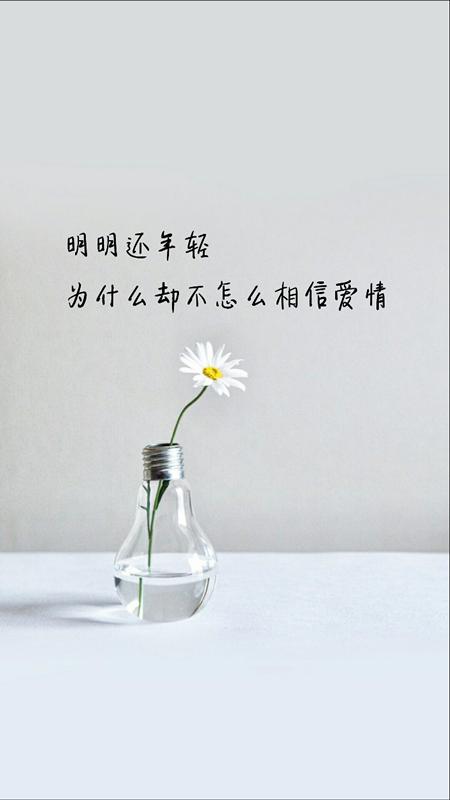 经典爱情语录：希望爱我的人不寂寞