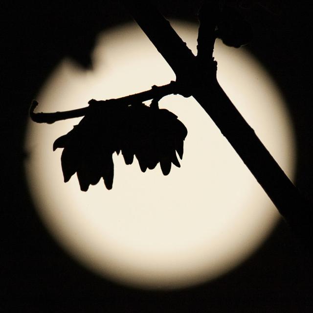 关于脾气脾气这东西