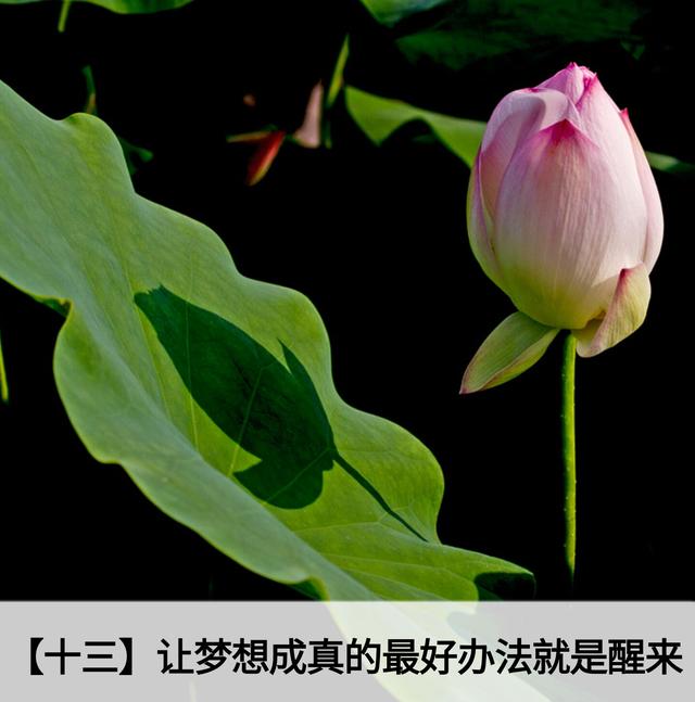 人生应该谨记的金言