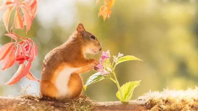 人心能换来人心吗？(句句见血)