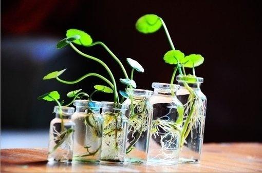 看完这些经典爱情语录，我是真的感动了