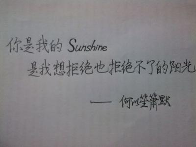 向来缘浅，奈何情深
