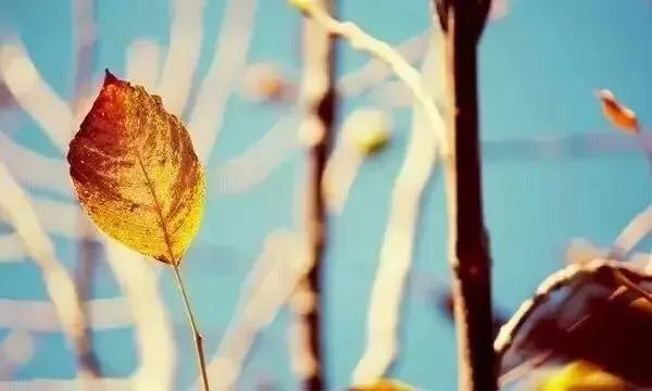 生命，是一场懂得