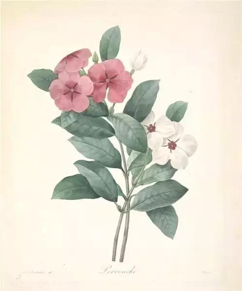 生命中所有的相逢,都是命中注定 生命中所有的相逢,都是命中注定