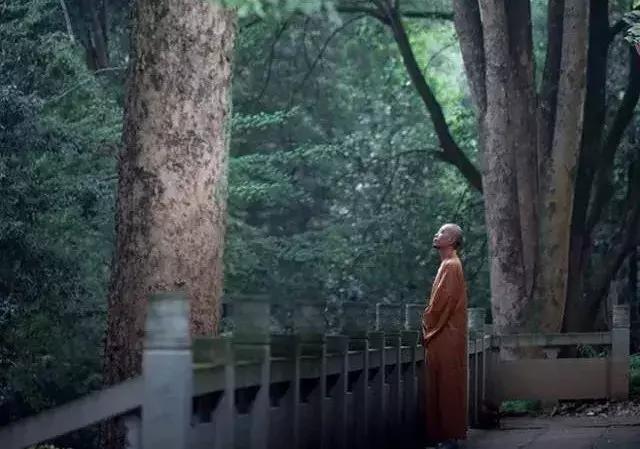 你若是吉人，自会有天相