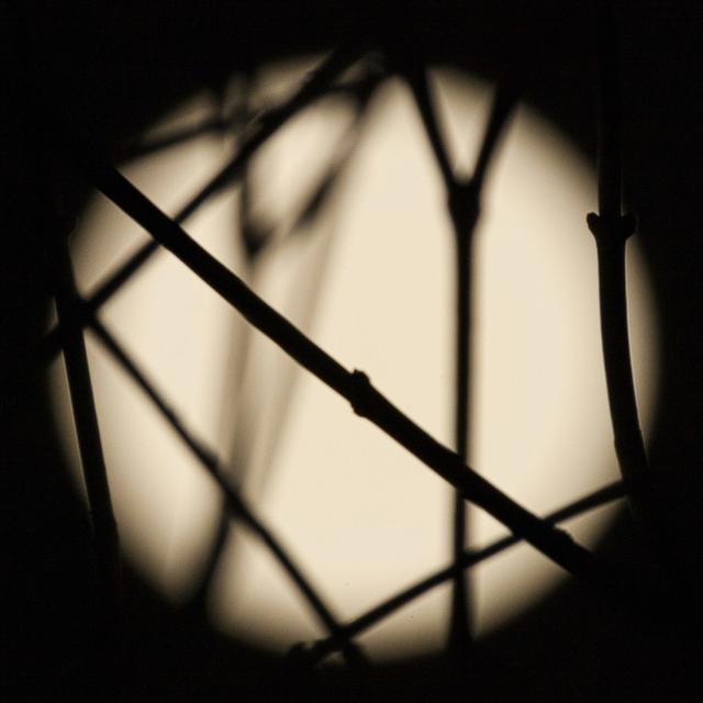 关于脾气脾气这东西