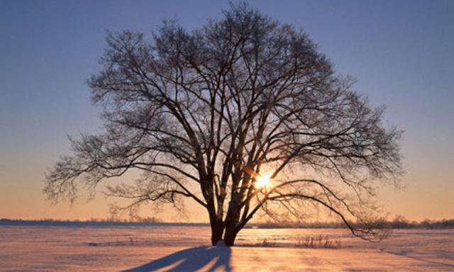 与其做个悲伤的智者，不如做个开心的傻子
