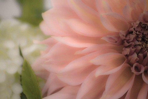 微信朋友圈女生伤感图片说说语录