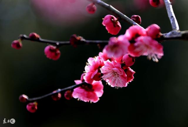 人再厉害，也不会永远风光；再窝囊，也有灵光一闪，不要看轻自己