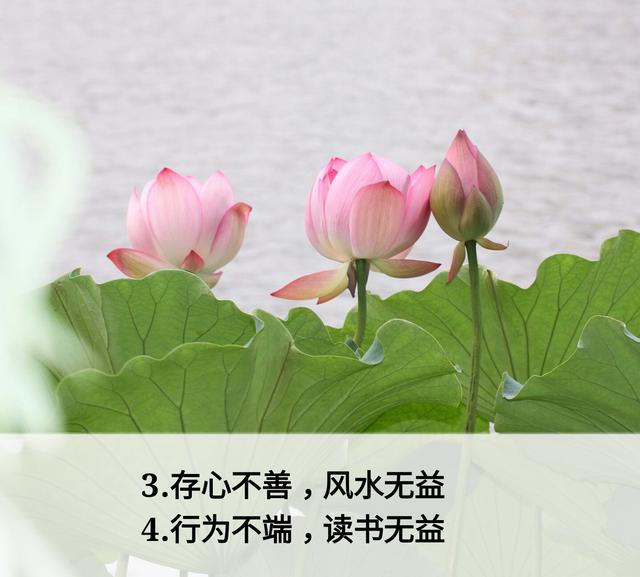 放下面子做人，但不可弯腰