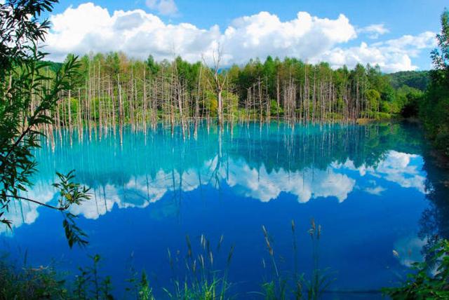 毕淑敏醒世经典语录