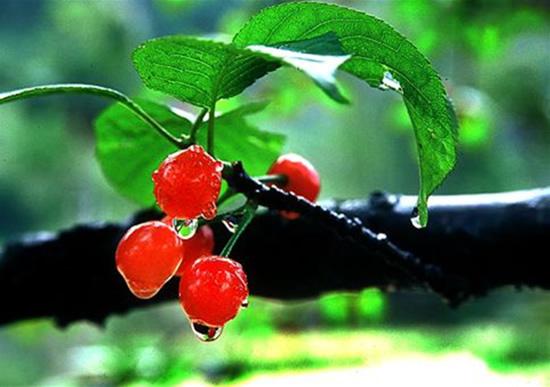 触动心灵的经典台词语录