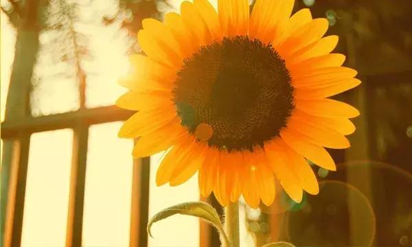 这段话,说进多少人心里 这段话,说进多少人心里