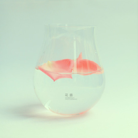 行动去成就梦想,奋斗能成就人生 行动去成就梦想,奋斗能成就人生