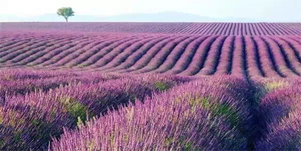 分享朋友圈好听到心醉的说说语录带图片